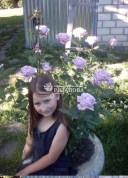 Фото девочки и куста розы Майнцер Фастнахт